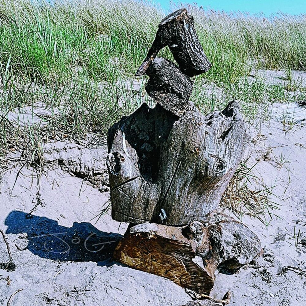 Picture of Driftwood