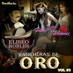 Cover of Rancheras de Oro , Vol. 3