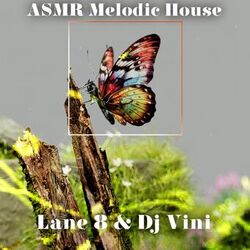 ASMR (LANE 8 & Dj VINI Melodic House)