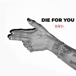 Cover of Die For You