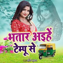 Cover of Bhatar Ayihe Tempu Se