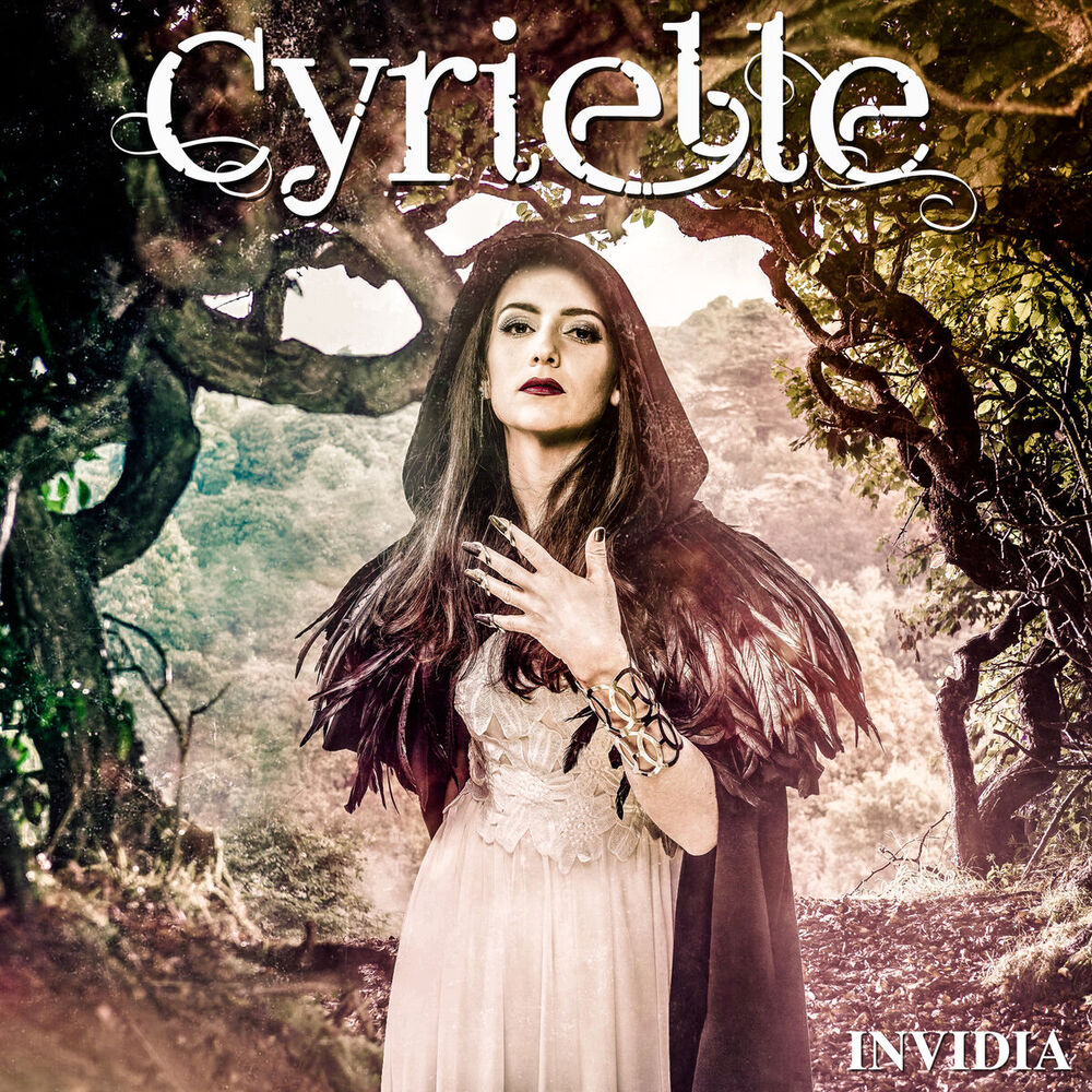 Picture of Invidia