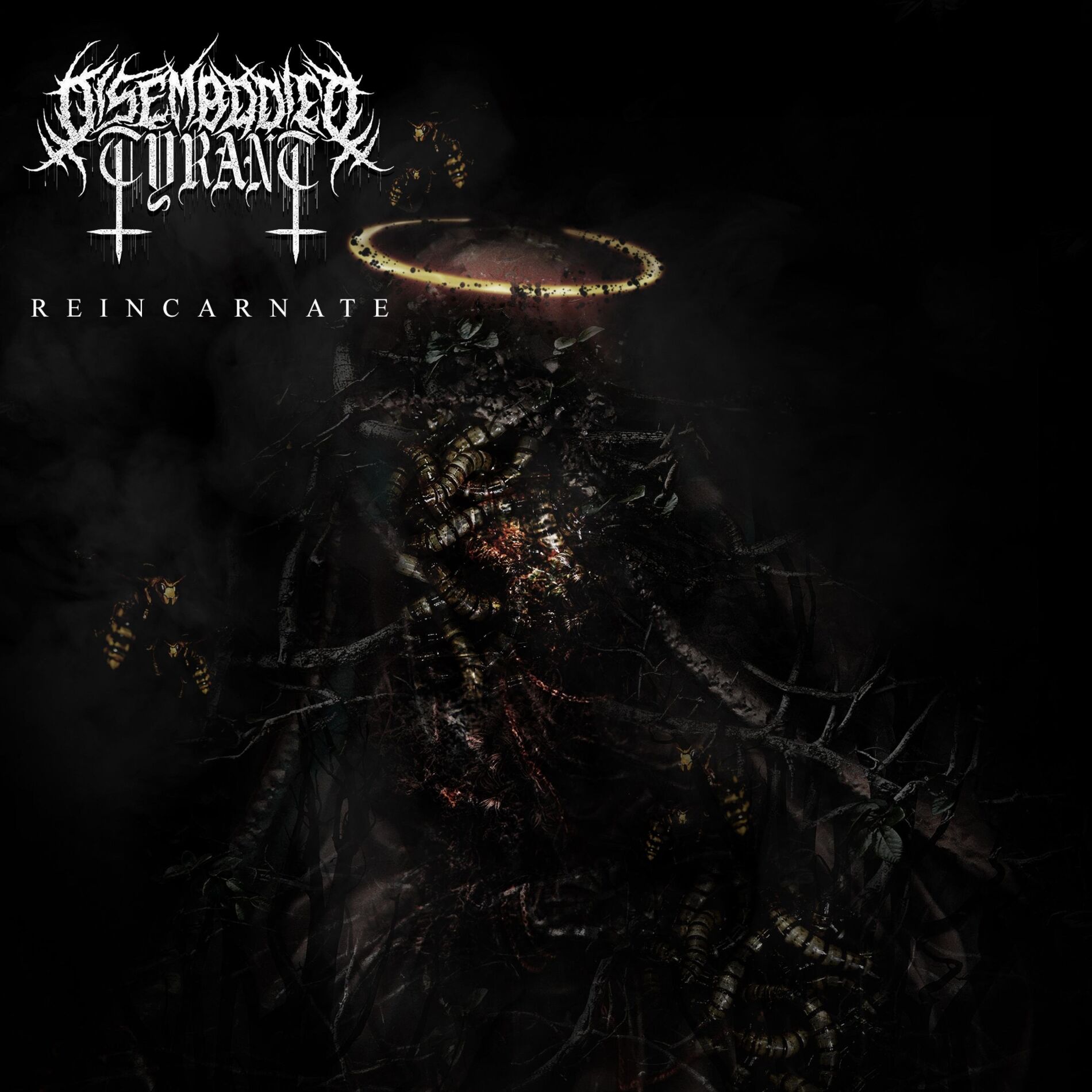 Album cover of Reincarnate