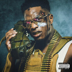 Cover of Commando