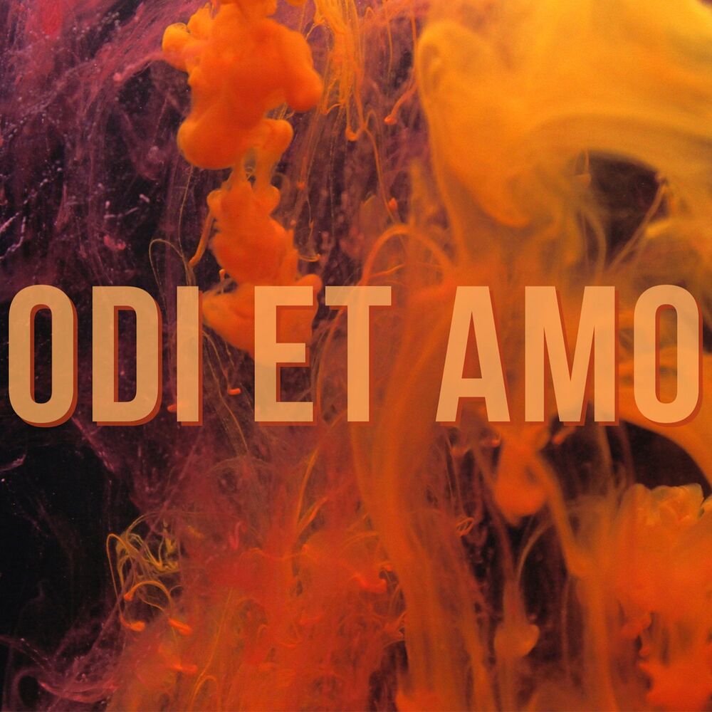 Picture of Odi Et Amo