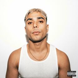 Cover of HARD CHOICES