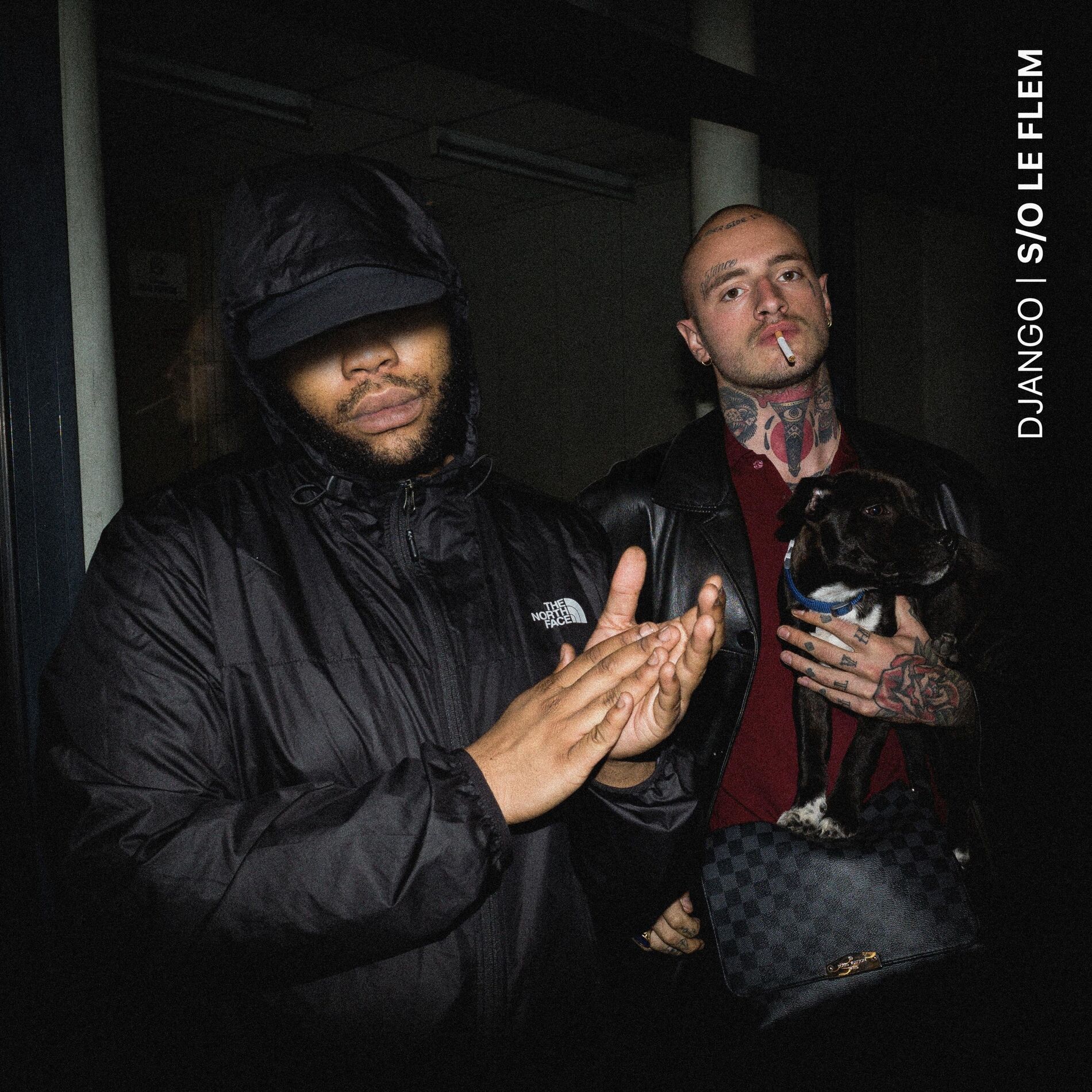 Album cover of S/O le Flem (feat. Roi Heenok & Freeze Corleone)