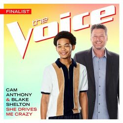 Cover of She Drives Me Crazy (The Voice Performance)