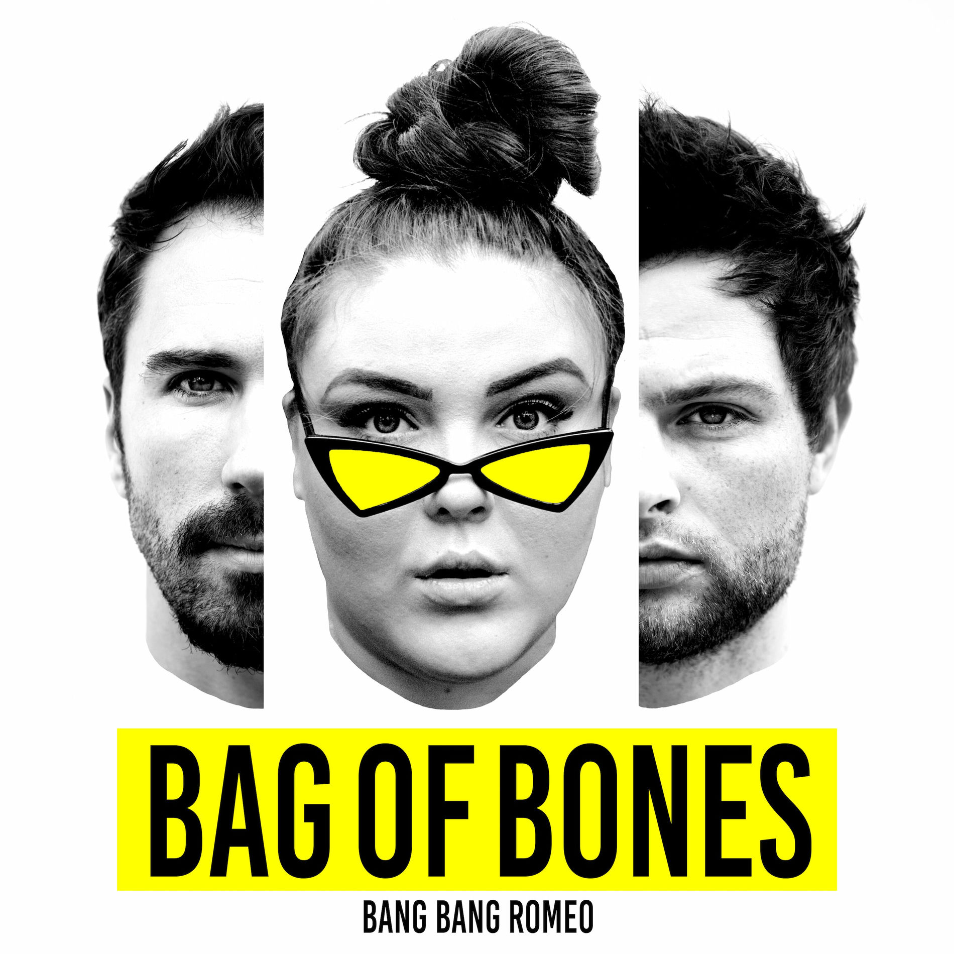Album cover of Bag of Bones