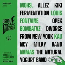 Cover of Groove Dingueries, Vol. 2