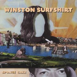 Cover of Sponge Cake