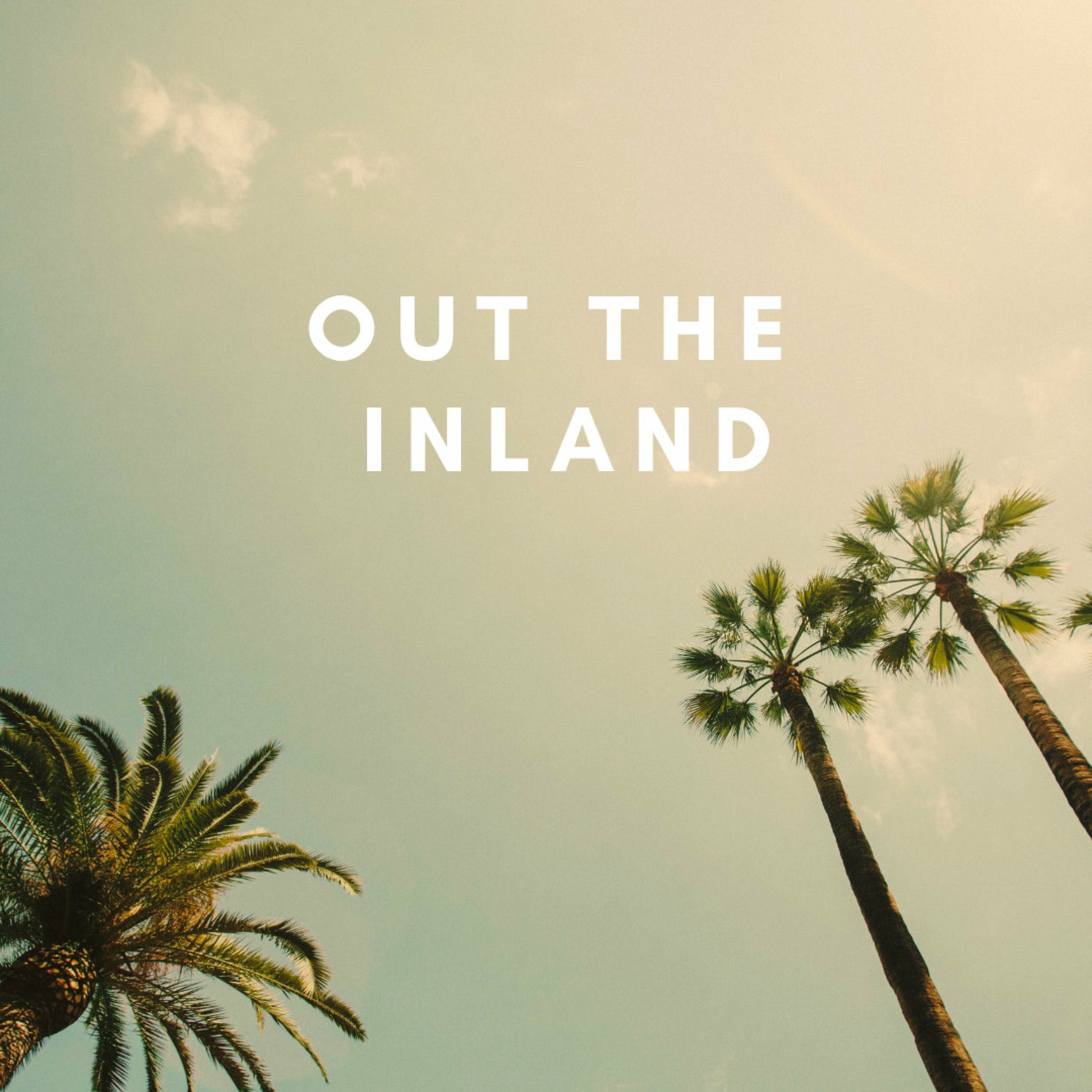 Album cover of Out The Inland (feat. Trizz, Audio Push & Sly Boogy)