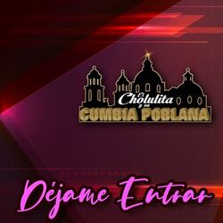 Cover of Déjame Entrar