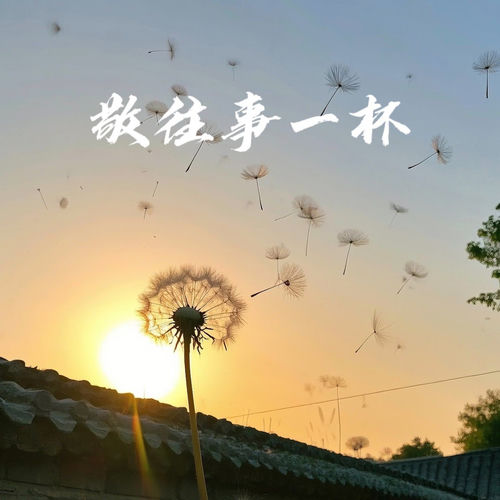 敬往事一杯 (对过往说一句辛苦了)
