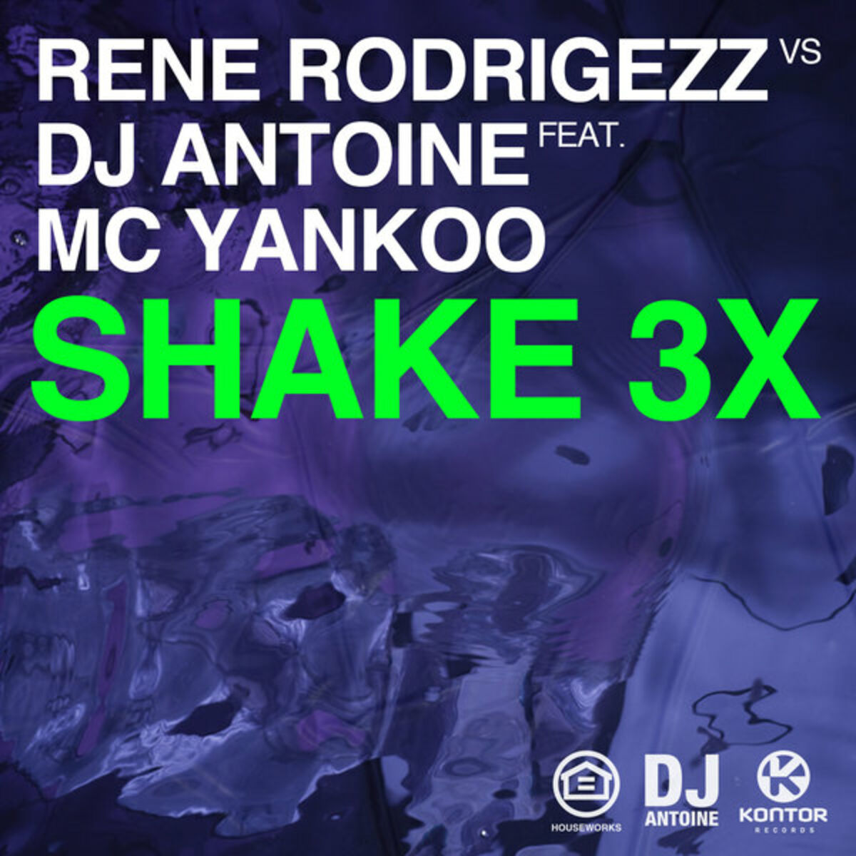 Album cover of Shake 3x