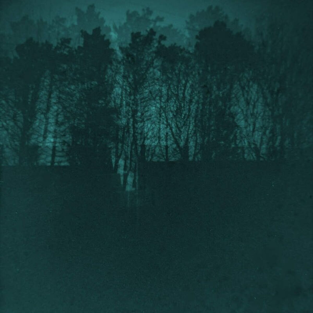 Album cover of belfast