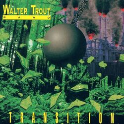 Cover of Transition