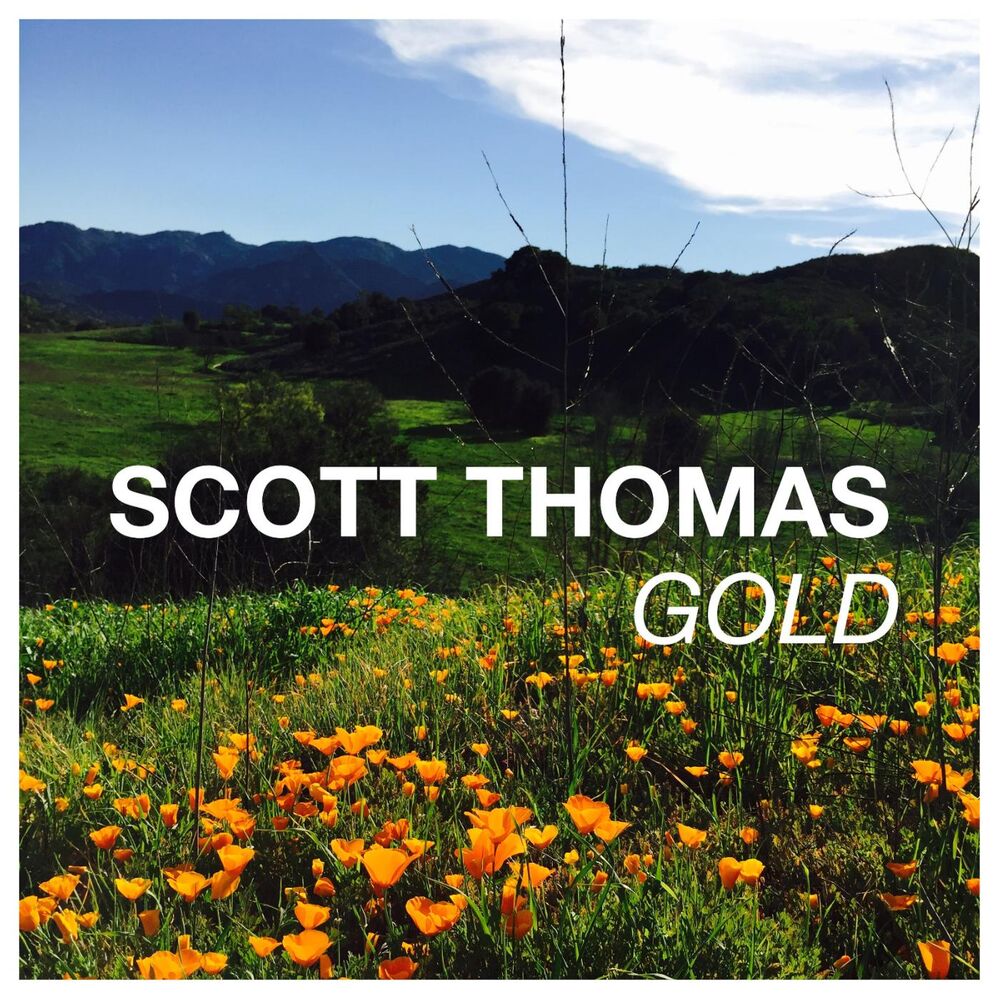 Picture of Gold