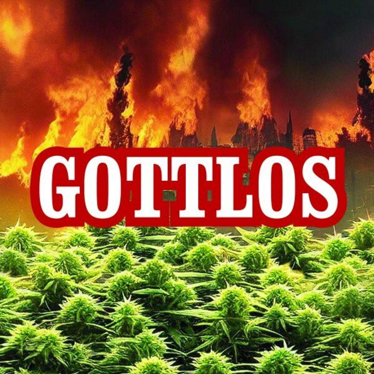Album cover of Gottlos