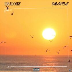 Cover of Sunshine