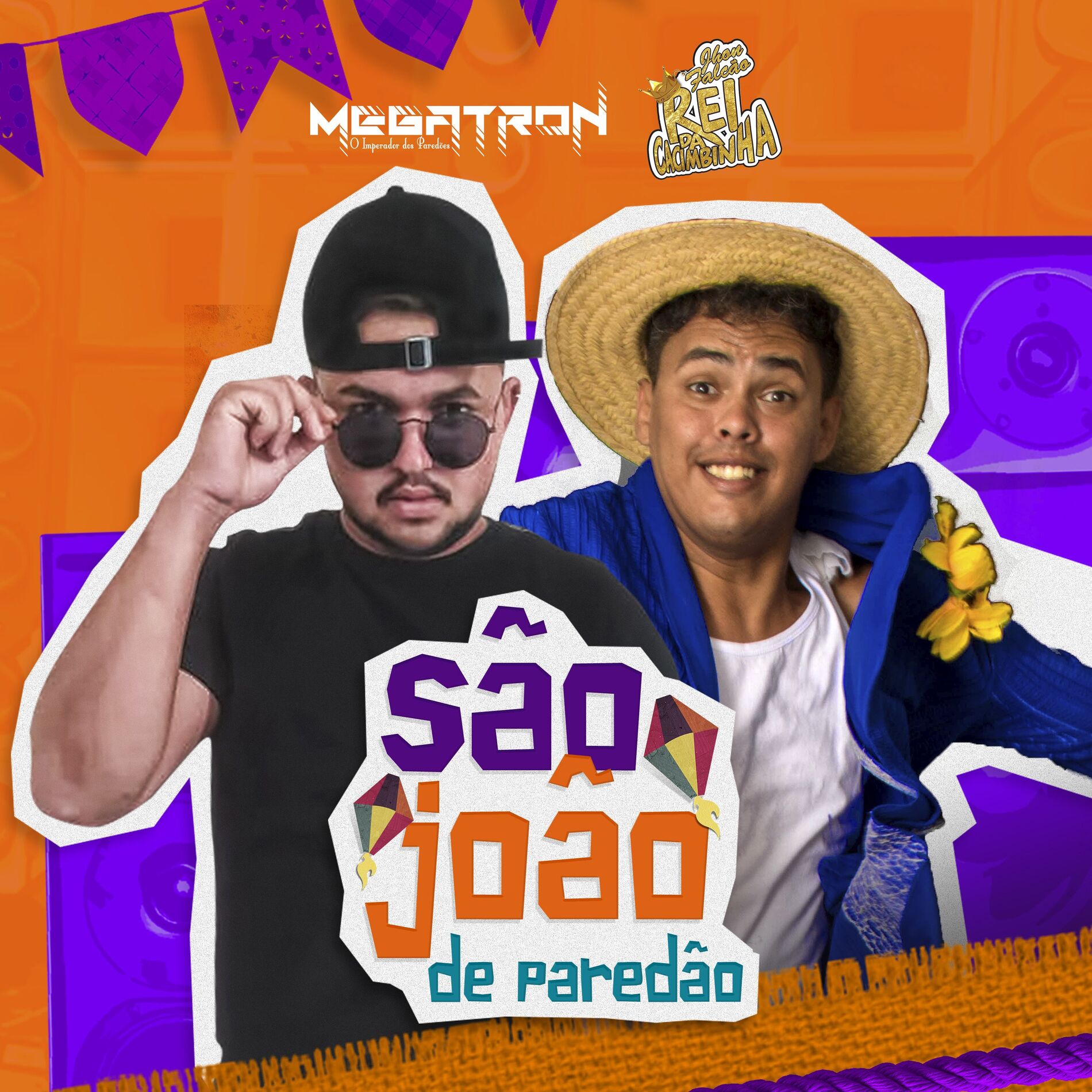 Album cover of São João de Paredão