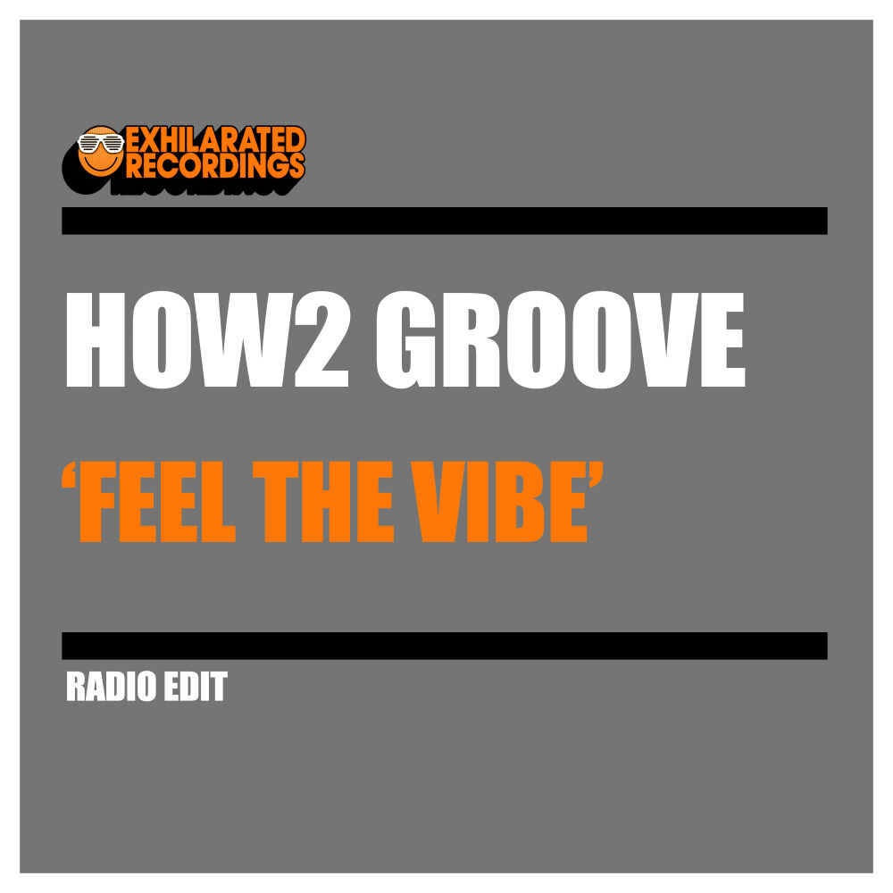 Picture of Feel The Vibe (Radio Edit)