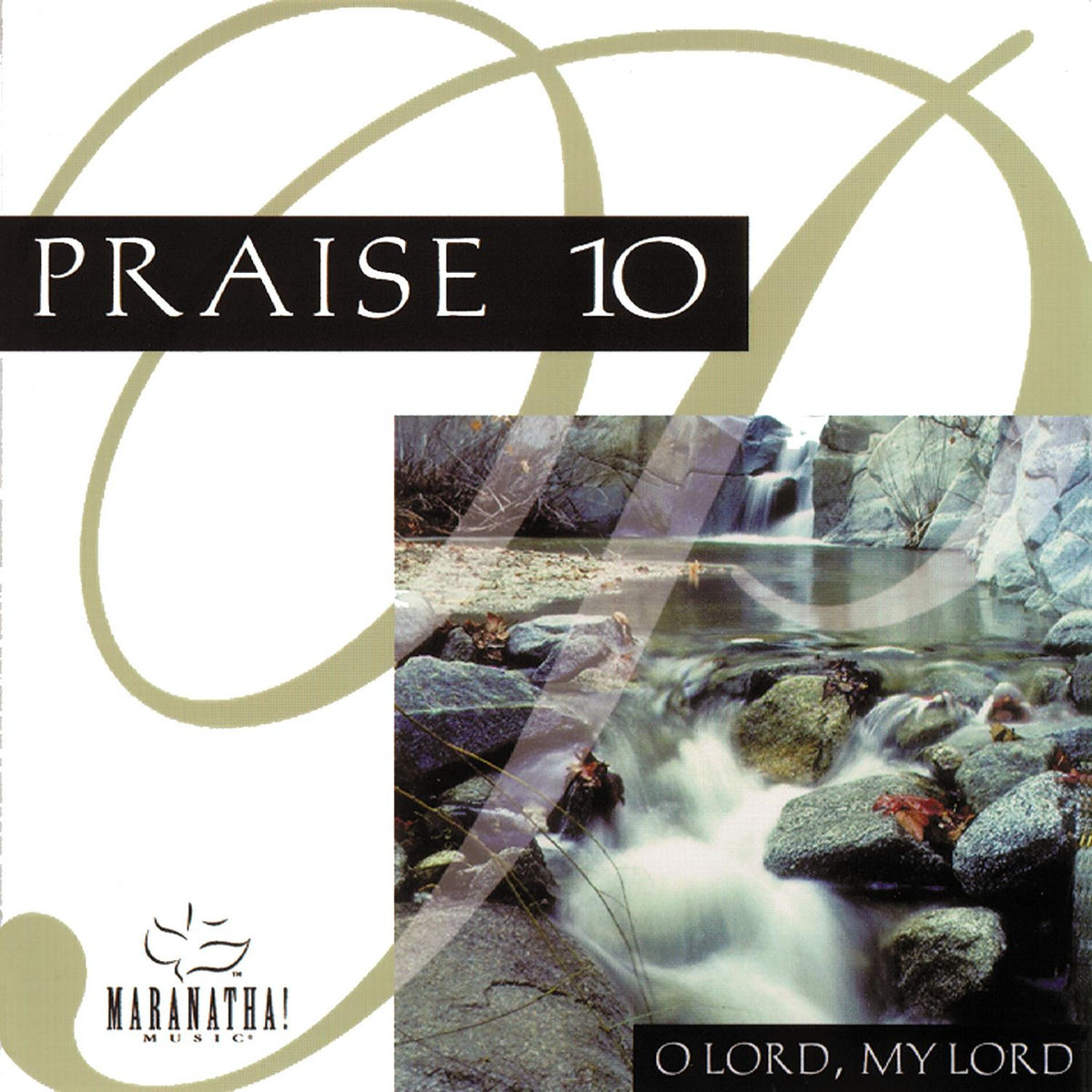 Album cover of Praise 10 - O Lord, My Lord
