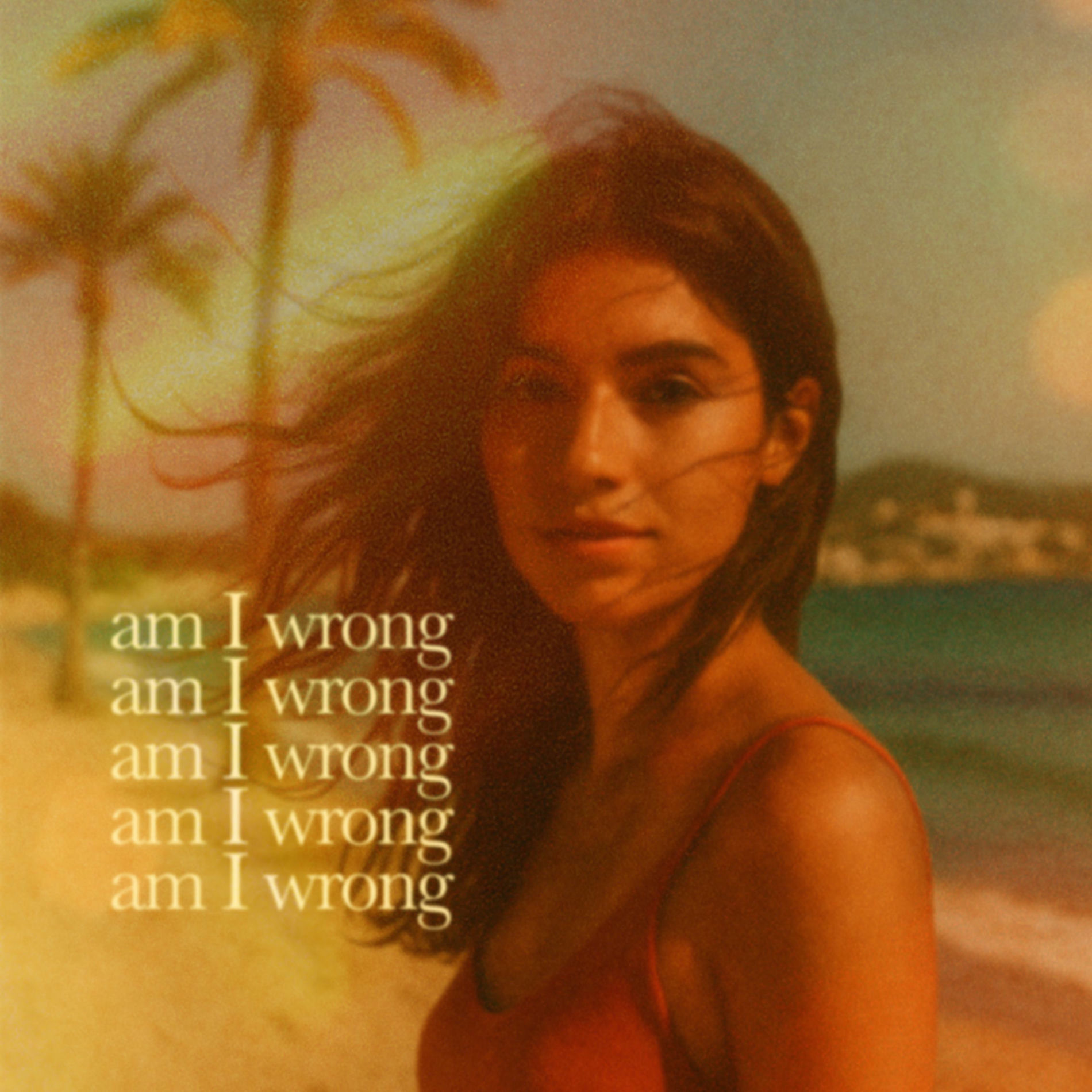 Album cover of Am I Wrong