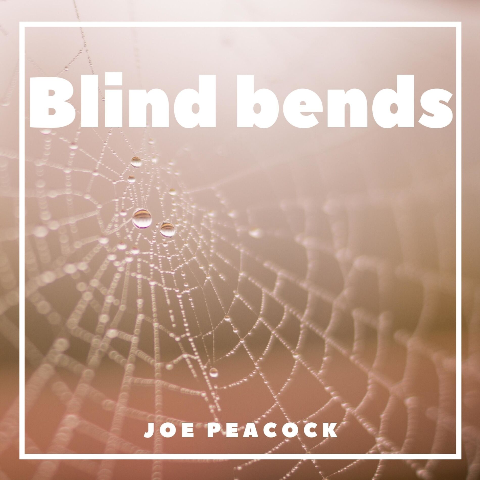 Album cover of Blind bends