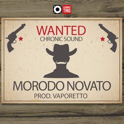 Cover of Wanted