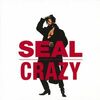 Seal - Krazee (Master Chic Mix)	
