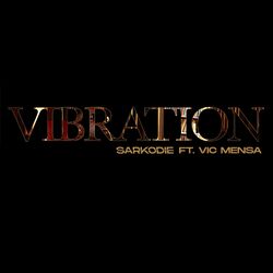 Cover of Vibration