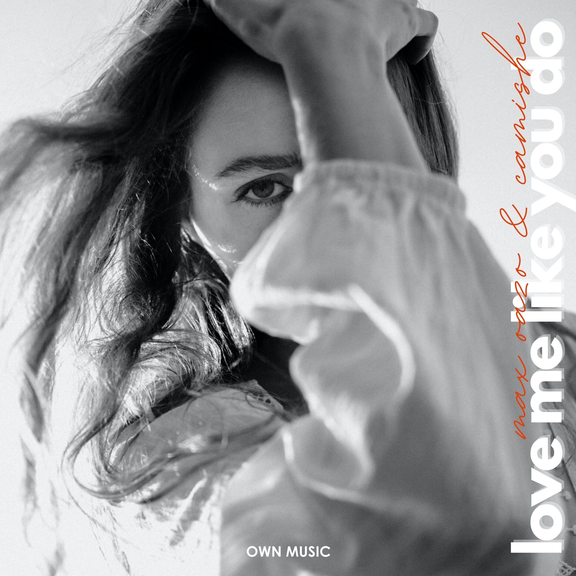 Album cover of Love Me Like You Do