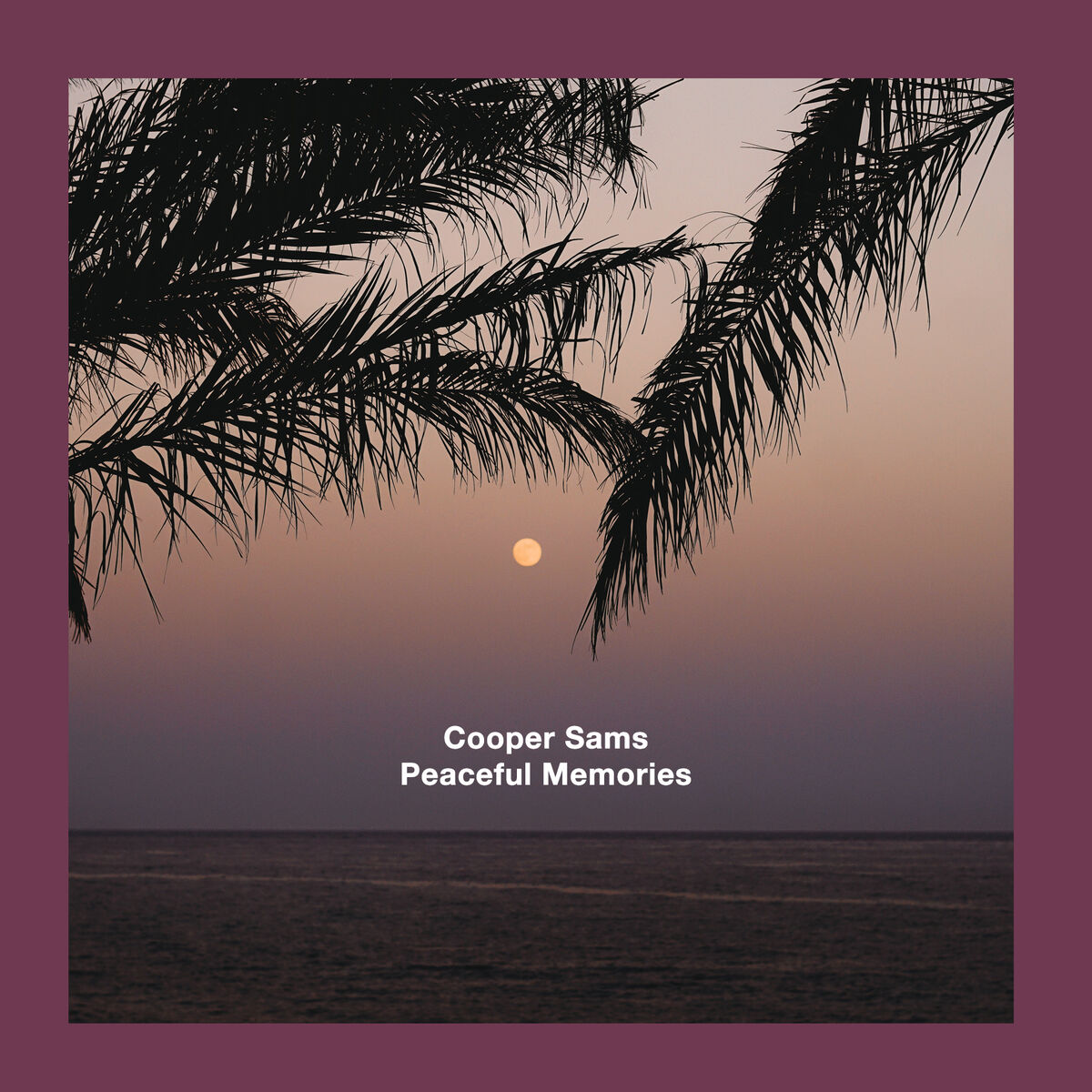 Album cover of Peaceful Memories