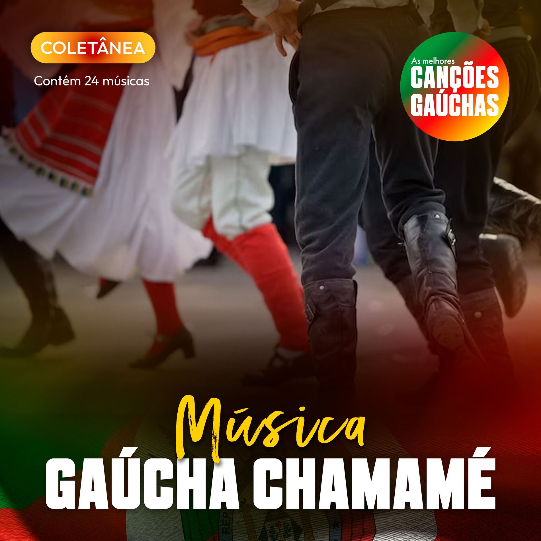 Album cover of MÚSICA GAÚCHA CHAMAMÉ
