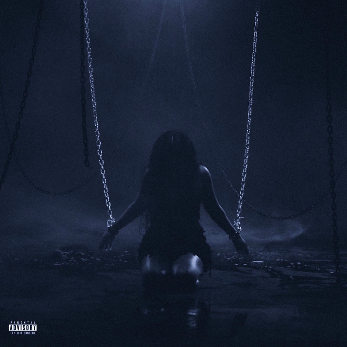Album cover of Ch4ins