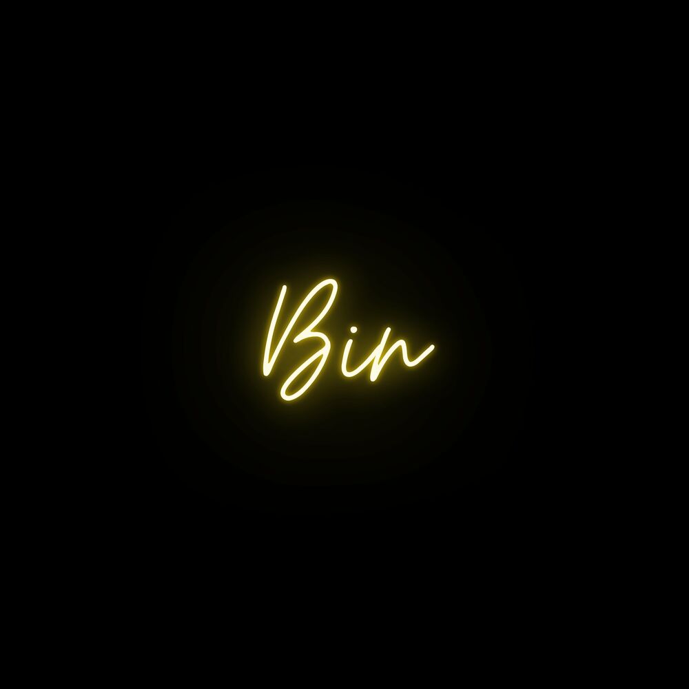 Picture of Bin