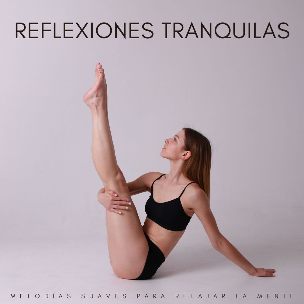 Picture of Reflexiones Tranquilas: Melodías Suaves Para Relajar La Mente
