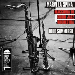 Cover of Oboe Sommerso