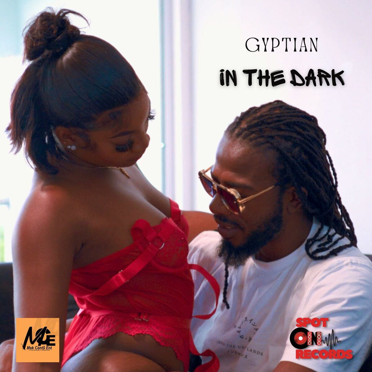 Album cover of In The Dark