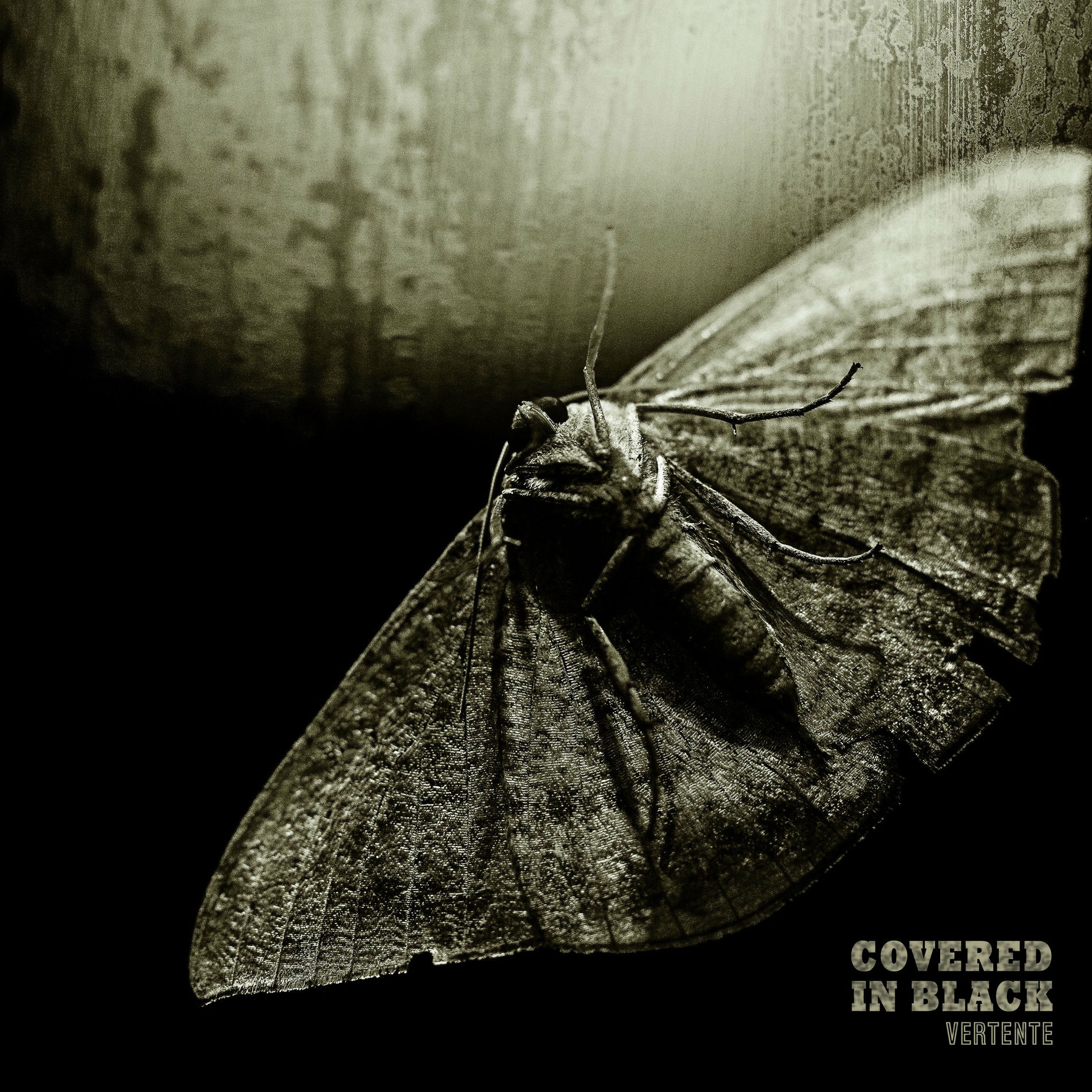 Album cover of Covered in Black