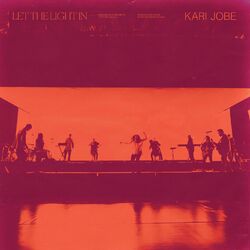 Cover of Let The Light In
