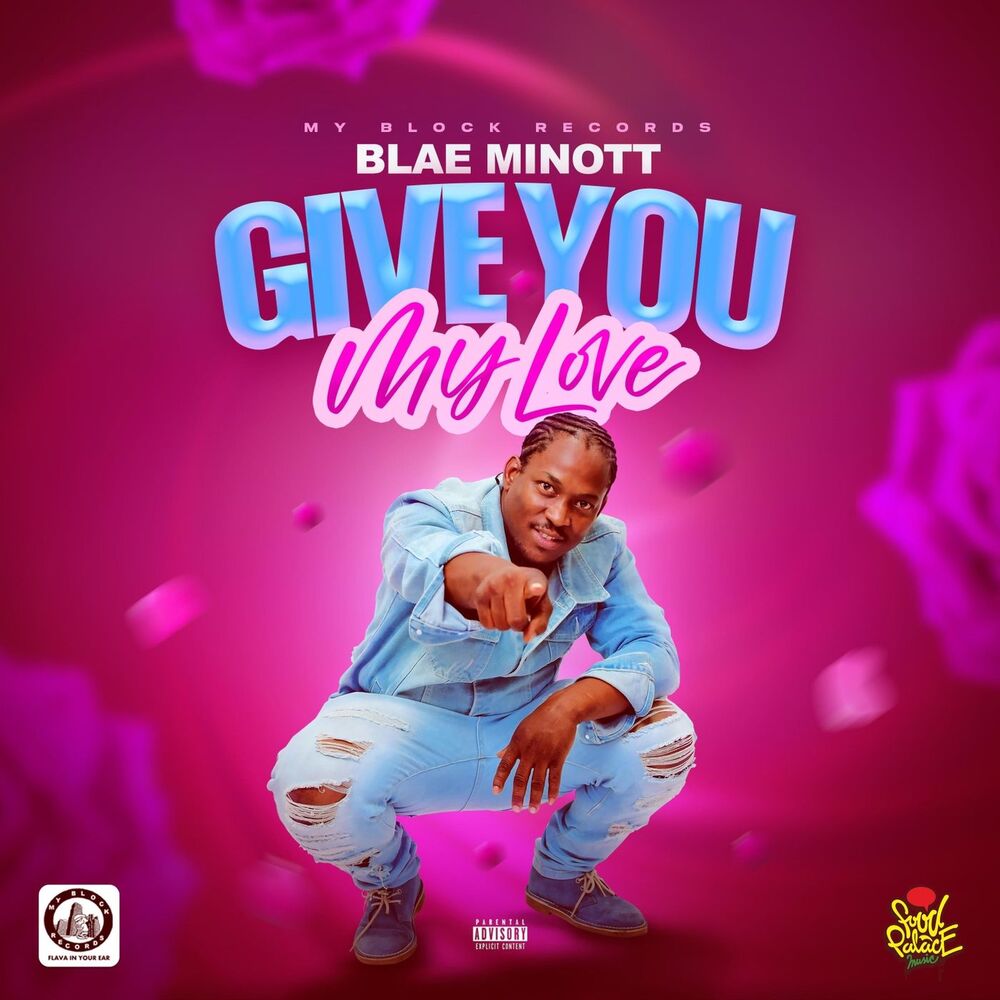 Picture of Give You My Love.