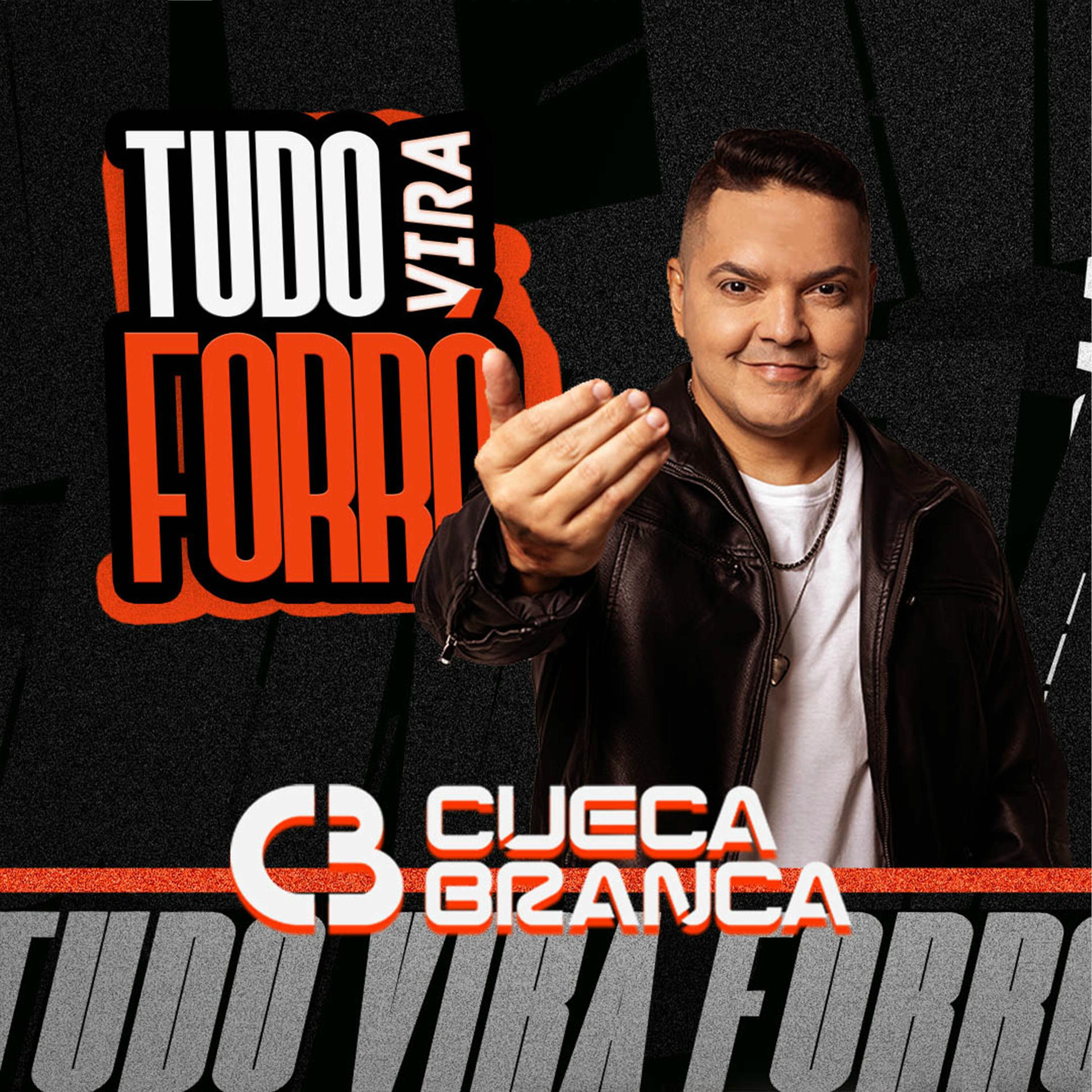 Album cover of Tudo Vira Forró