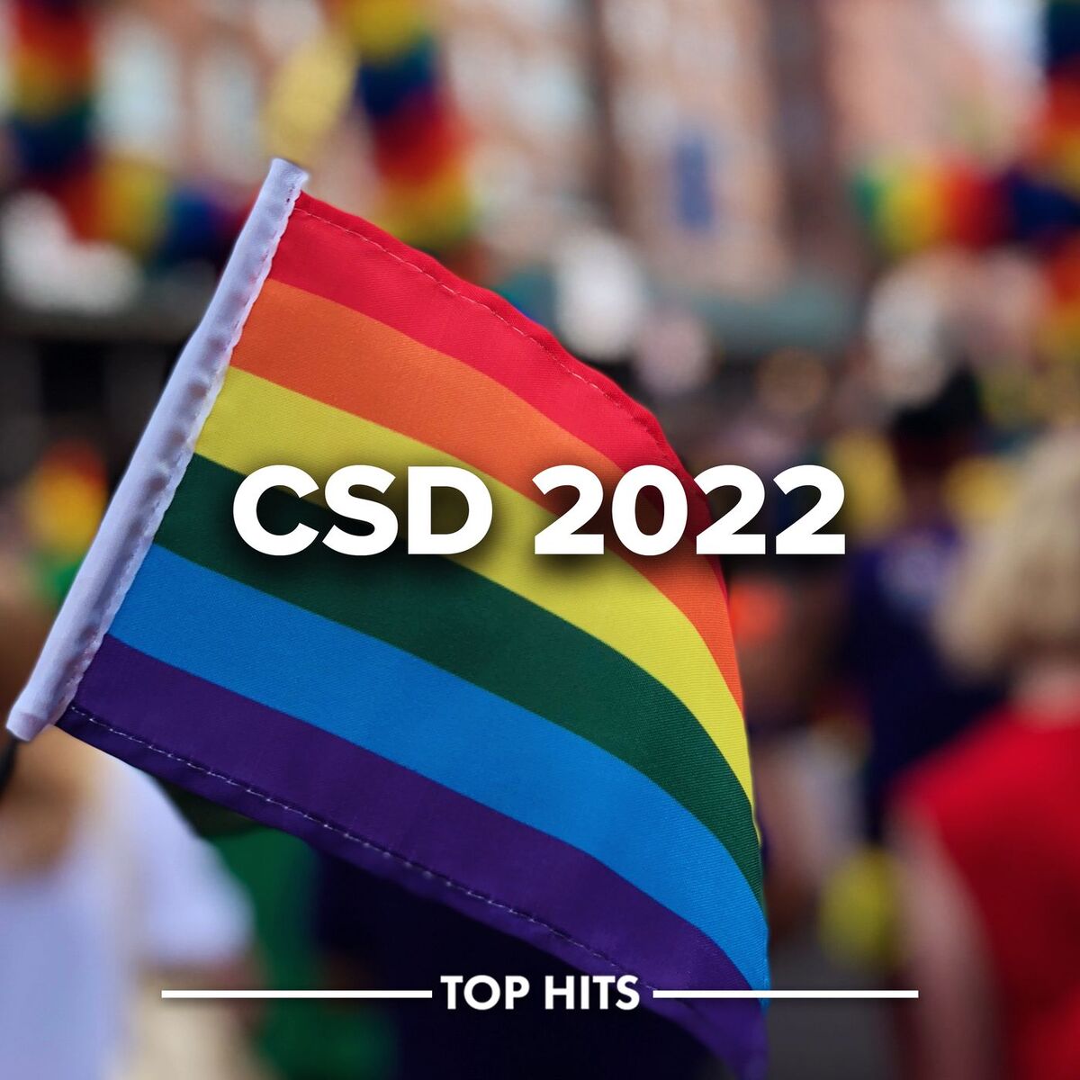 Album cover of CSD 2022