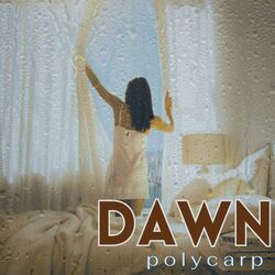 Cover of dawn
