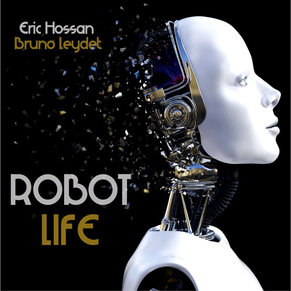 Picture of Robot Life
