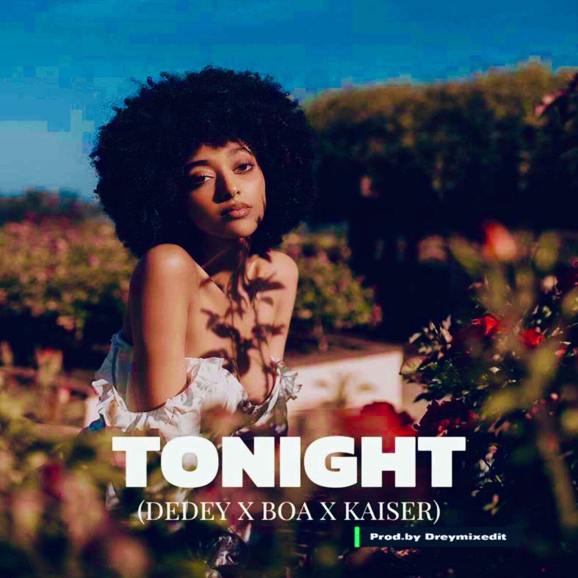 Album cover of Tonight