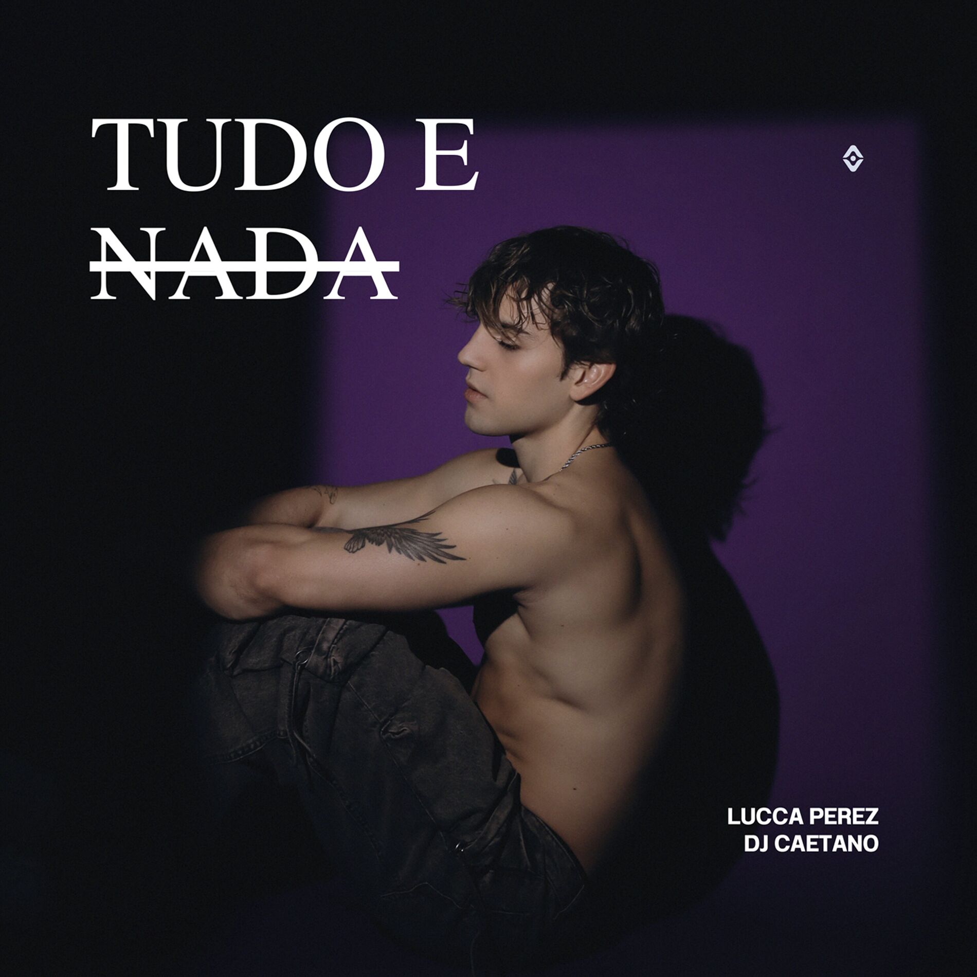 Album cover of Tudo e Nada