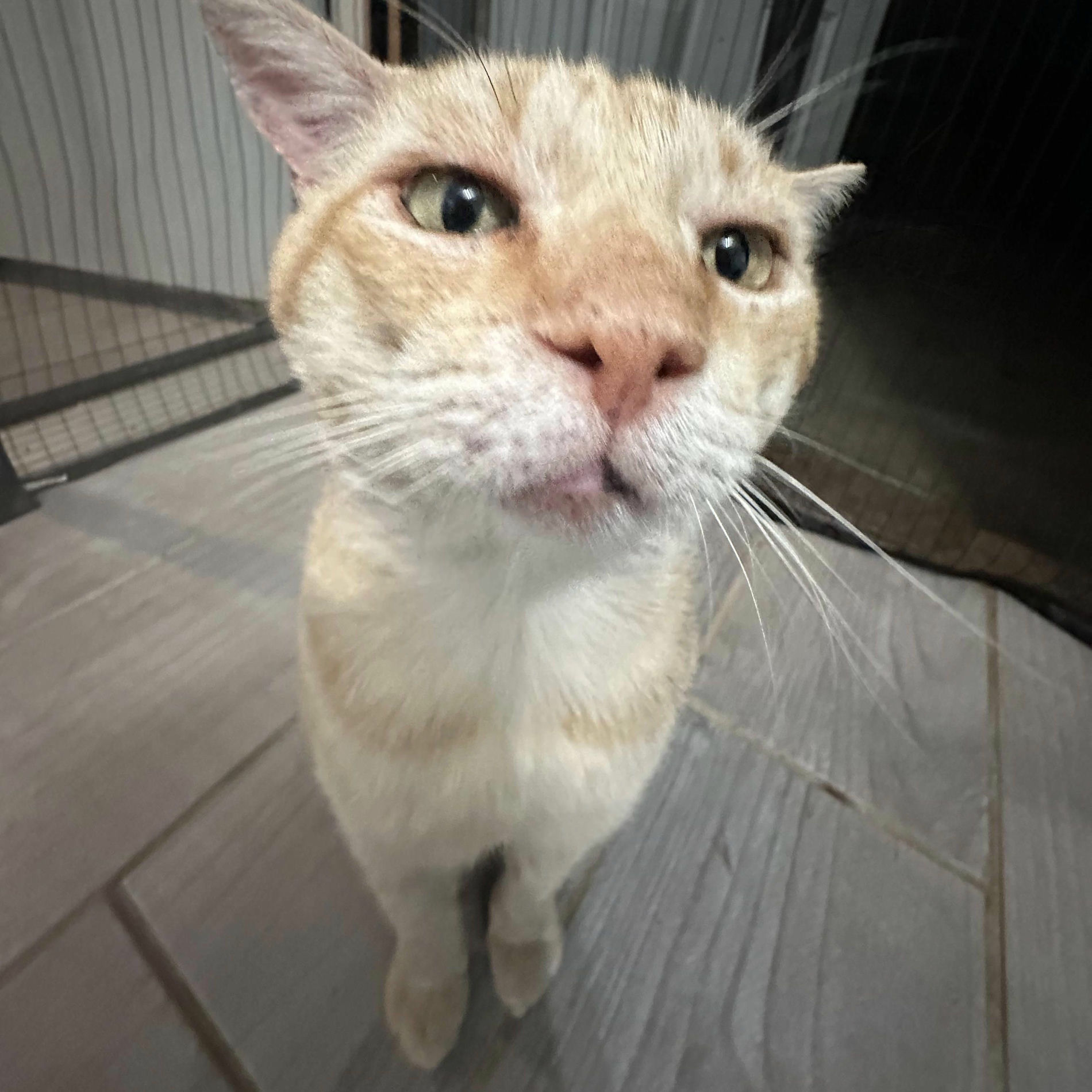 Album cover of On My Own